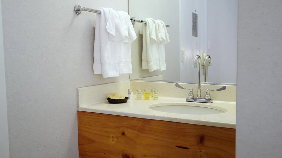 Bathroom 4, Hotel Garrett, San Francisco
