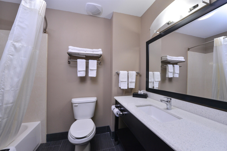 Bathroom 4, Americas Best Value Inn & Suites Southaven Memphis, Desoto