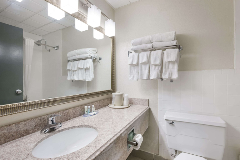 Bathroom 4, Quality Inn Joliet, Will