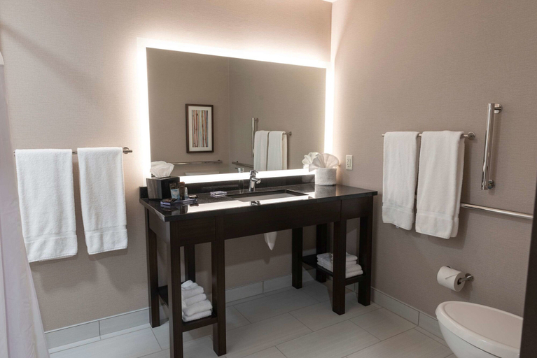 Bathroom 4, Wingate by Wyndham Angola, Steuben