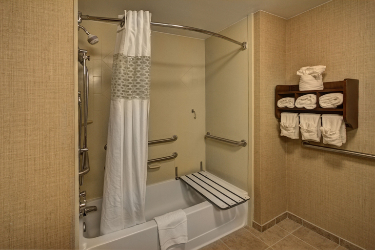 Bathroom 4, Hampton Inn Leesburg/Tavares, Lake