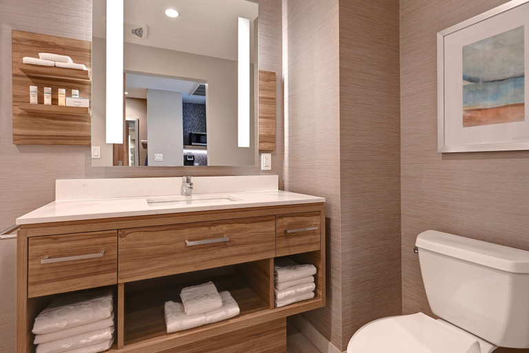 Bathroom 4, Hilton Garden Inn Anaheim Resort, Orange