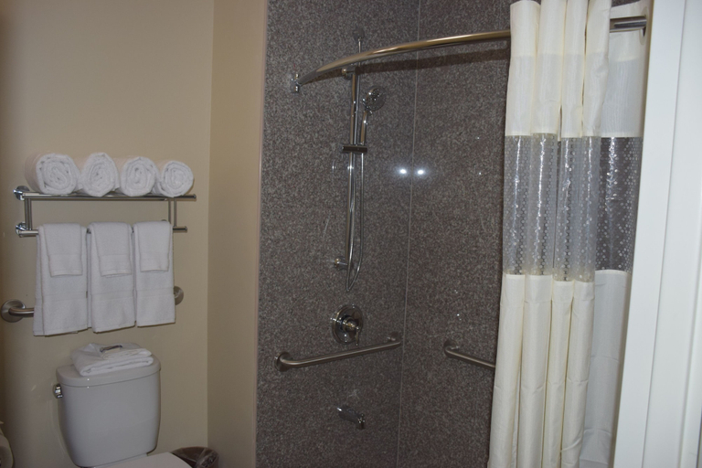 Bathroom 3, Astoria Delancy Inn & Suites, New York
