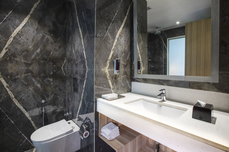 Bathroom 4, Radisson Hotel Bareilly Airport, Bareilly