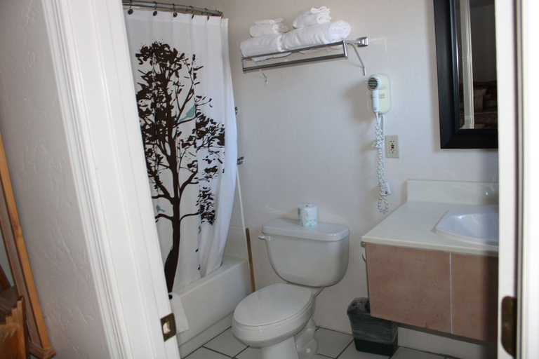 Bathroom 4, Edelweiss Resort and Restaurant, Apache