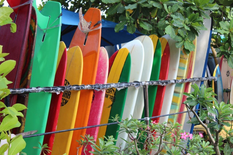 Exterior & Views 2, Mojosurf Camp Canggu - Hostel, Badung