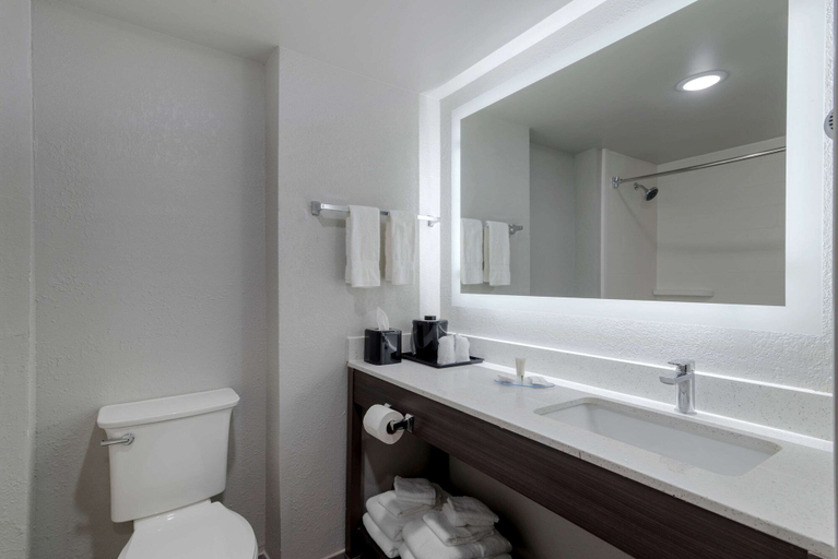 Bathroom 4, Clarion Pointe McDonough, Henry