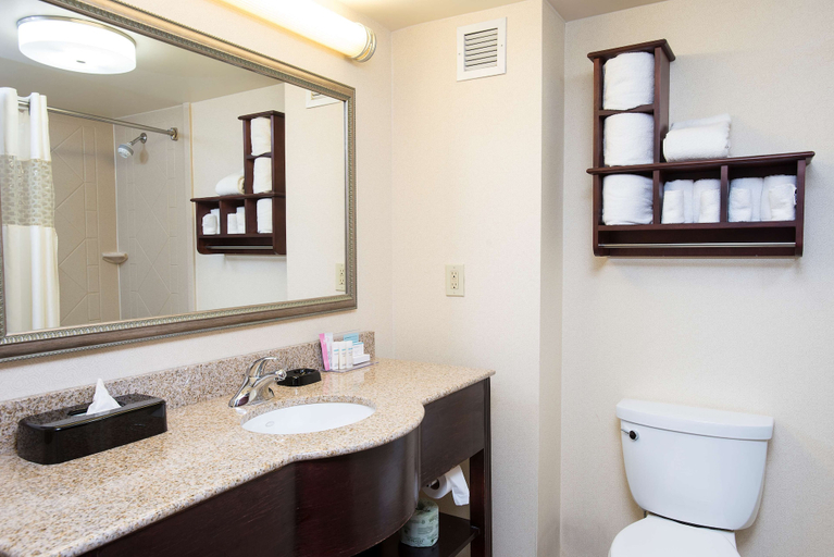 Bathroom 3, Hampton Inn & Suites Cincinnati-Union Center, Butler