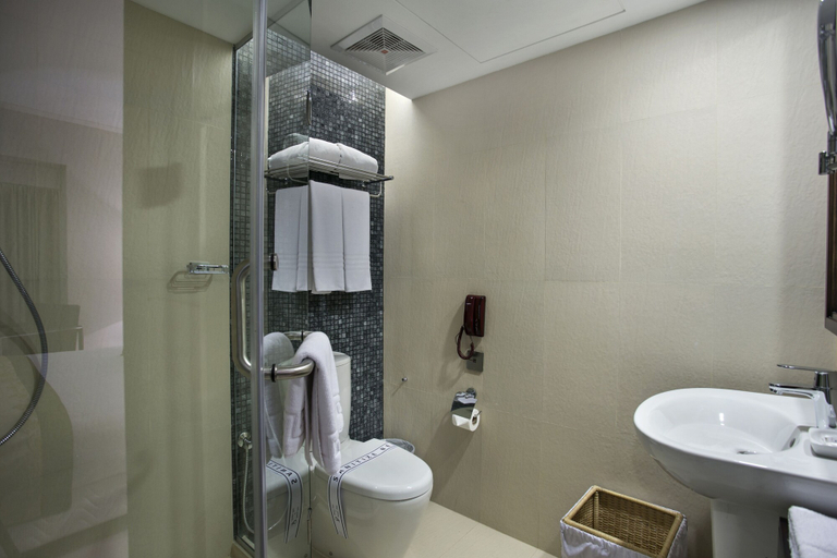 Bathroom 4, Platinum Grand, Dhaka