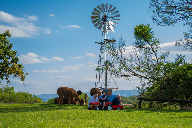 Others 5, Bundu Lodge, Ehlanzeni