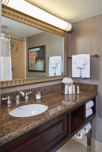 Bathroom 5, DoubleTree by Hilton Dallas - Market Center, Dallas
