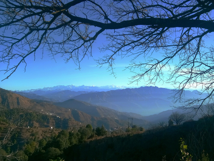 Others 5, In Apple Estate Kanatal, Tehri Garhwal