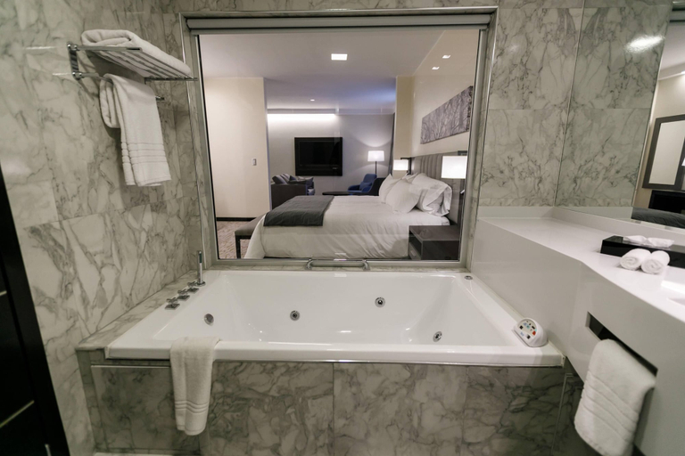 Bathroom 4, Hilton Garden Inn Santiago del Estero, Capital