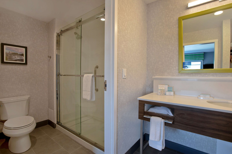 Bathroom 4, Hampton Inn & Suites Ottawa West, Ottawa