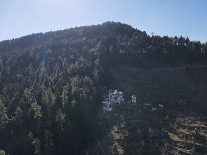 Others 5, Jomotel Dayaar, Shimla