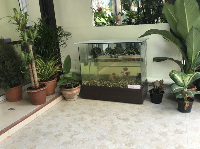 Others 5, Harry's Residence, Khlong Toey