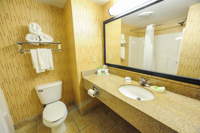 Bathroom 5, Holiday Inn Express & Suites BOWLING GREEN by IHG, Wood