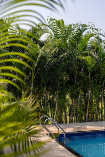 Sport & Beauty 2, Paramount Riverfront Resort & Spa, Raigarh
