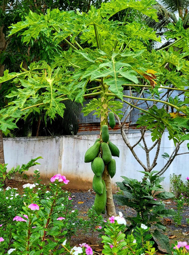 Others 4, Quảng Trường Mỹ Tho Hotel, Mỹ Tho