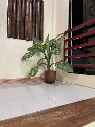Others 4, Bahay Ni Ate Bed and Breakfast, Puerto Princesa City