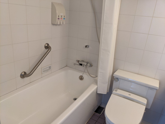 Bathroom 5, Yamatoya Honten, Matsuyama