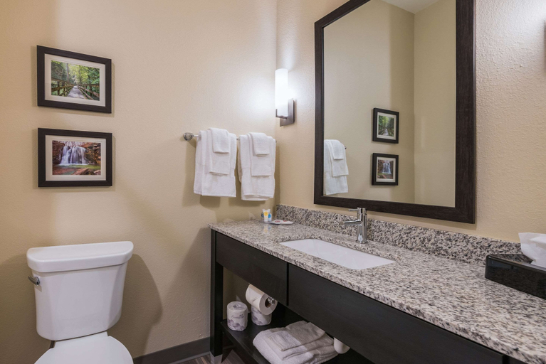 Bathroom 4, Comfort Suites Marysville Columbus - Northwest, Union