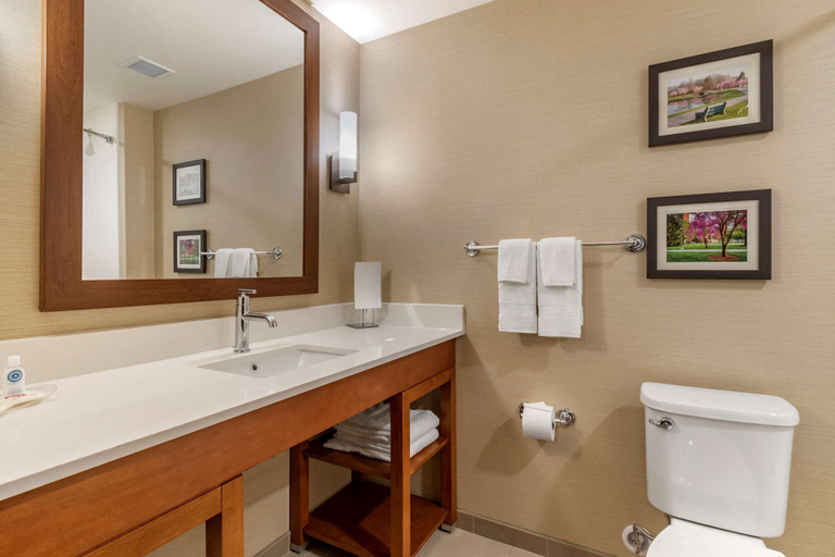 Bathroom 4, Comfort Suites Camp Hill-Harrisburg West, Cumberland
