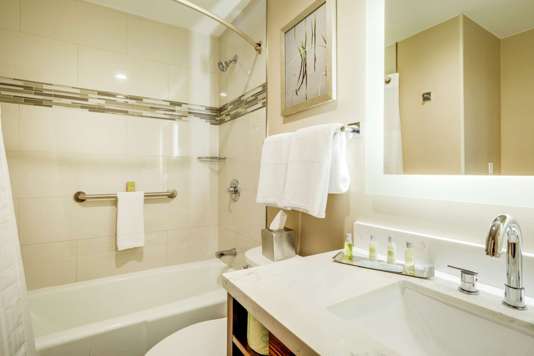 Bathroom 4, DoubleTree by Hilton Huntington, Cabell