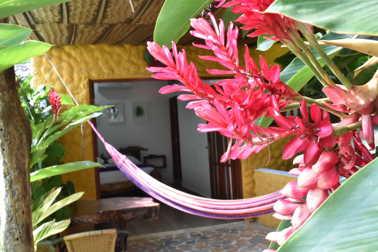 Exterior & Views 2, eco hostal kuima, Santa Marta (Dist. Esp.)