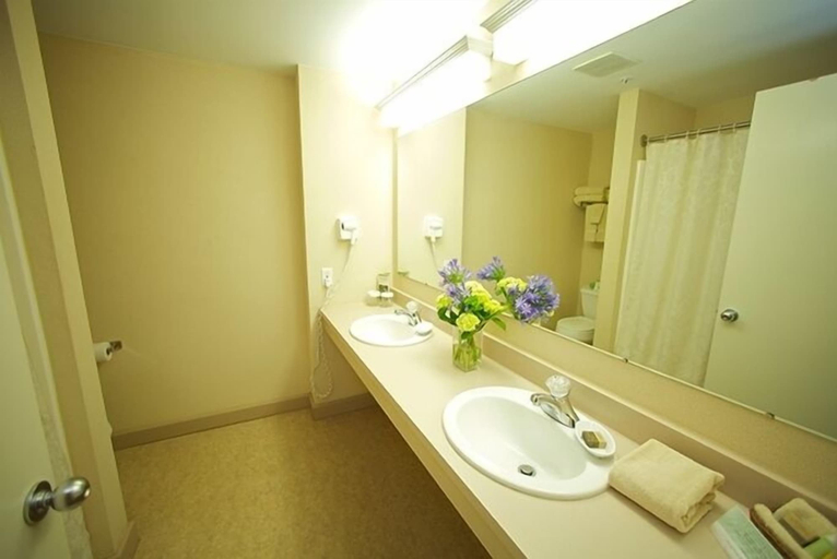 Bathroom 4, Mount Snow Grand Summit Resort, Windham