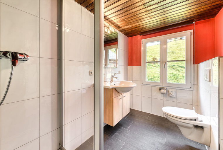 Bathroom 3, Berghaus Tschengla, Bludenz