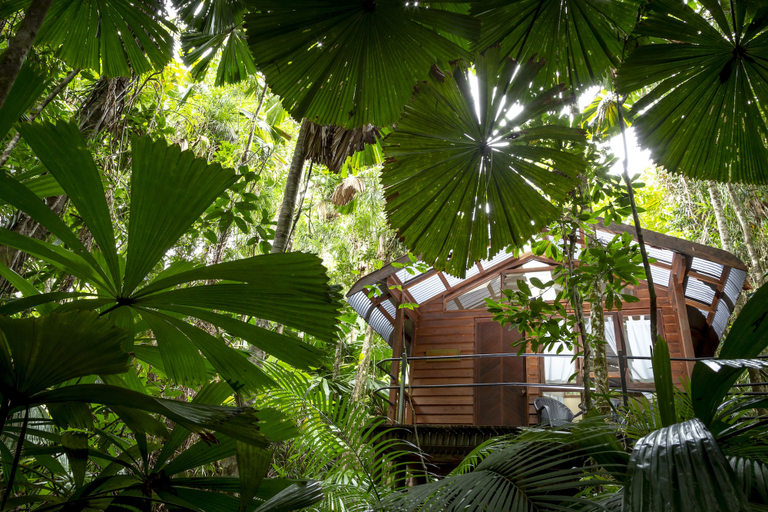 Exterior & Views 2, Daintree Wilderness Lodge, Douglas