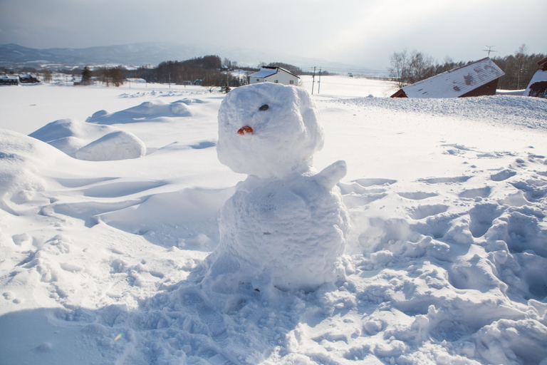 Others 5, SnowDog Village, Niseko