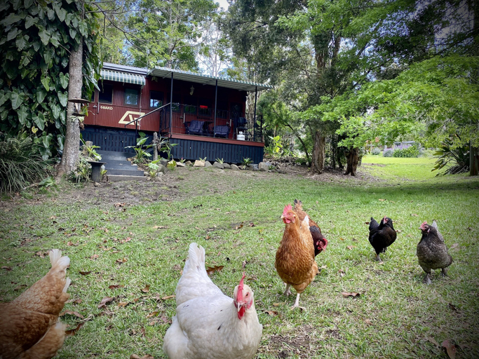 Others 5, Mt Nebo Railway Carriage and Chalet, Pine Rivers Bal