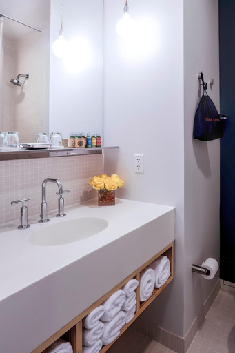 Bathroom 4, NU Hotel Brooklyn, New York