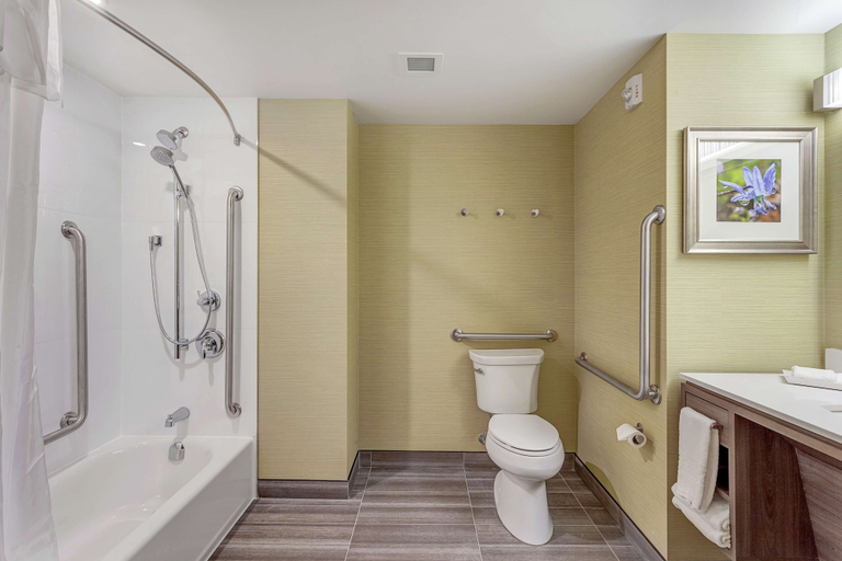 Bathroom 4, Home2 Suites by Hilton Toronto Brampton, Peel