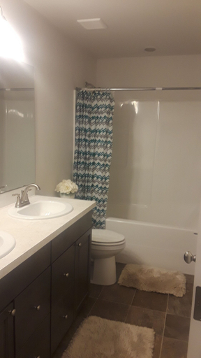 Bathroom, Cozy Quiet Rooms In Safe Neighborhood, Pierce