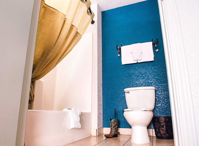 Bathroom 3, Riata Inn, Presidio