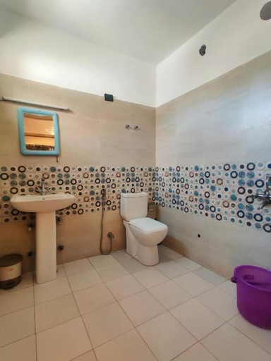 Bathroom 4, Glacier View Guest House, Leh