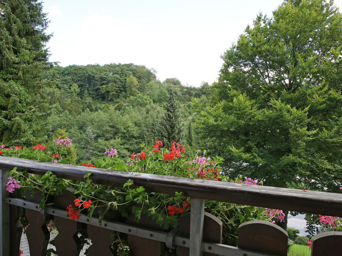 Others 5, Modern Apartment in Sauerland With Balcony, Hochsauerlandkreis