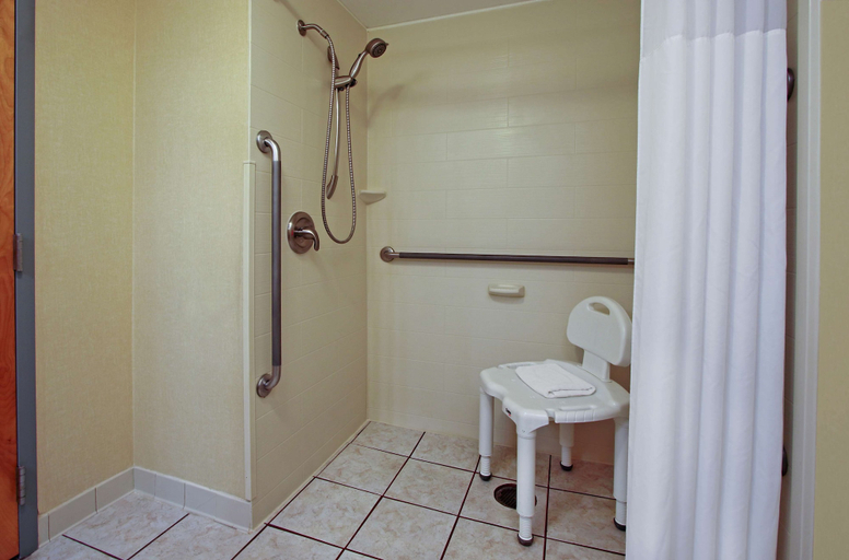Bathroom 4, Hampton Inn Ashtabula, Ashtabula