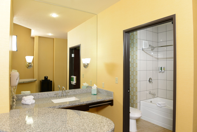 Bathroom 4, Eastside Cannery Casino Hotel, Clark