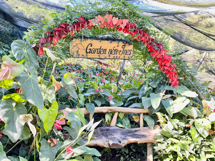 Others 5, Garden nen Ines Guest House, La Trinidad