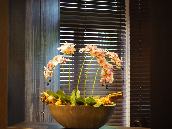 Food & Drinks 5, Hotel Blossoms, Amsterdam