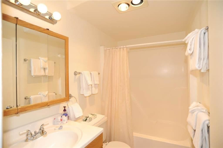 Bathroom 4, Der Steiermark, Summit