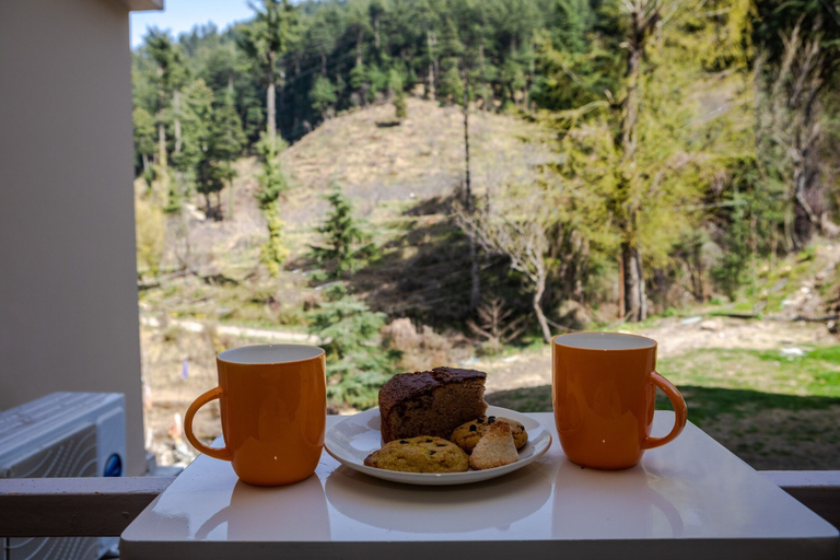 Food & Drinks 5, Anand Vardhan Resorts, Kullu