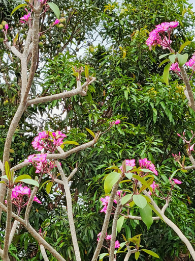 Others 3, Quảng Trường Mỹ Tho Hotel, Mỹ Tho