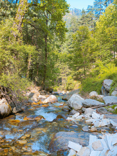 Others 4, Madpackers Jibhi - Hostel, Kullu