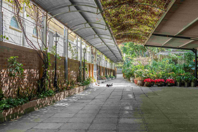 Others 5, Trang Thanh Apartment, Ngô Quyền