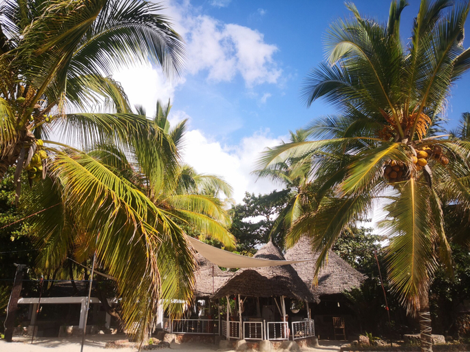 Exterior & Views 2, Mambo Ocean Resort, Kaskazini 'A'